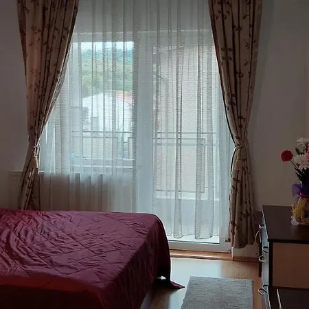 Apartament Cu 3 * クルージュ＝ナポカ