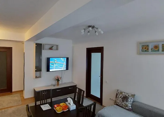 Cu 3 클루지나포카